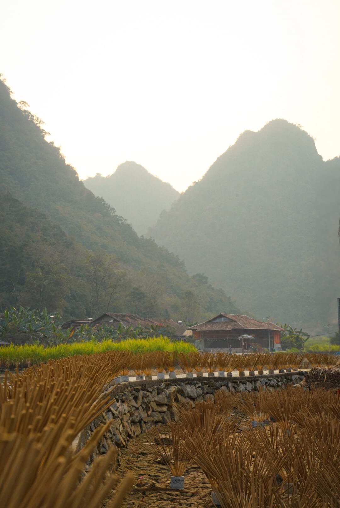 Phja Thap Incense Village